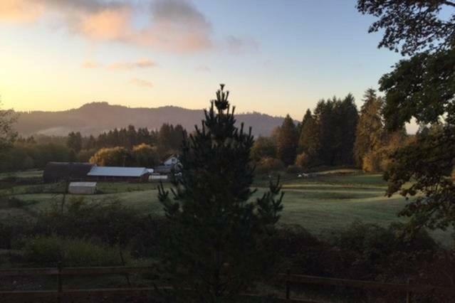 Vancouver Wa Beautiful Apartment 우들랜드 외부 사진
